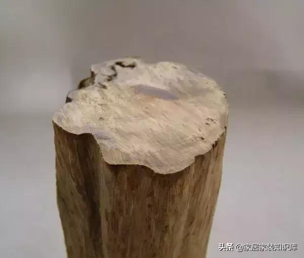 家具行业木材的介绍,我国民间家具常用木材