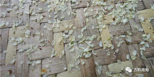 姊佹渤鐗硅壊缇庨,姊佹渤鐗硅壊缇庨鎺ㄨ崘