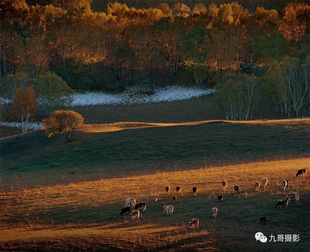 坝上草原天路美景,大美坝上风光系列之一