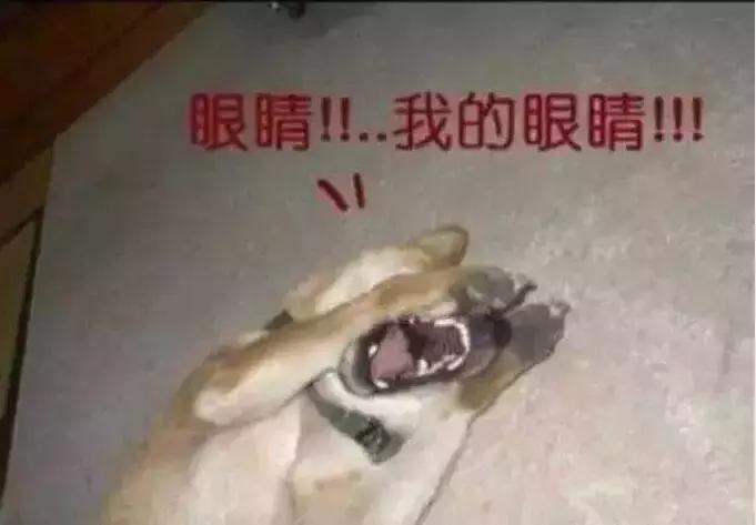 想改个车灯不知道改什么车灯好,想改但是不知改什么