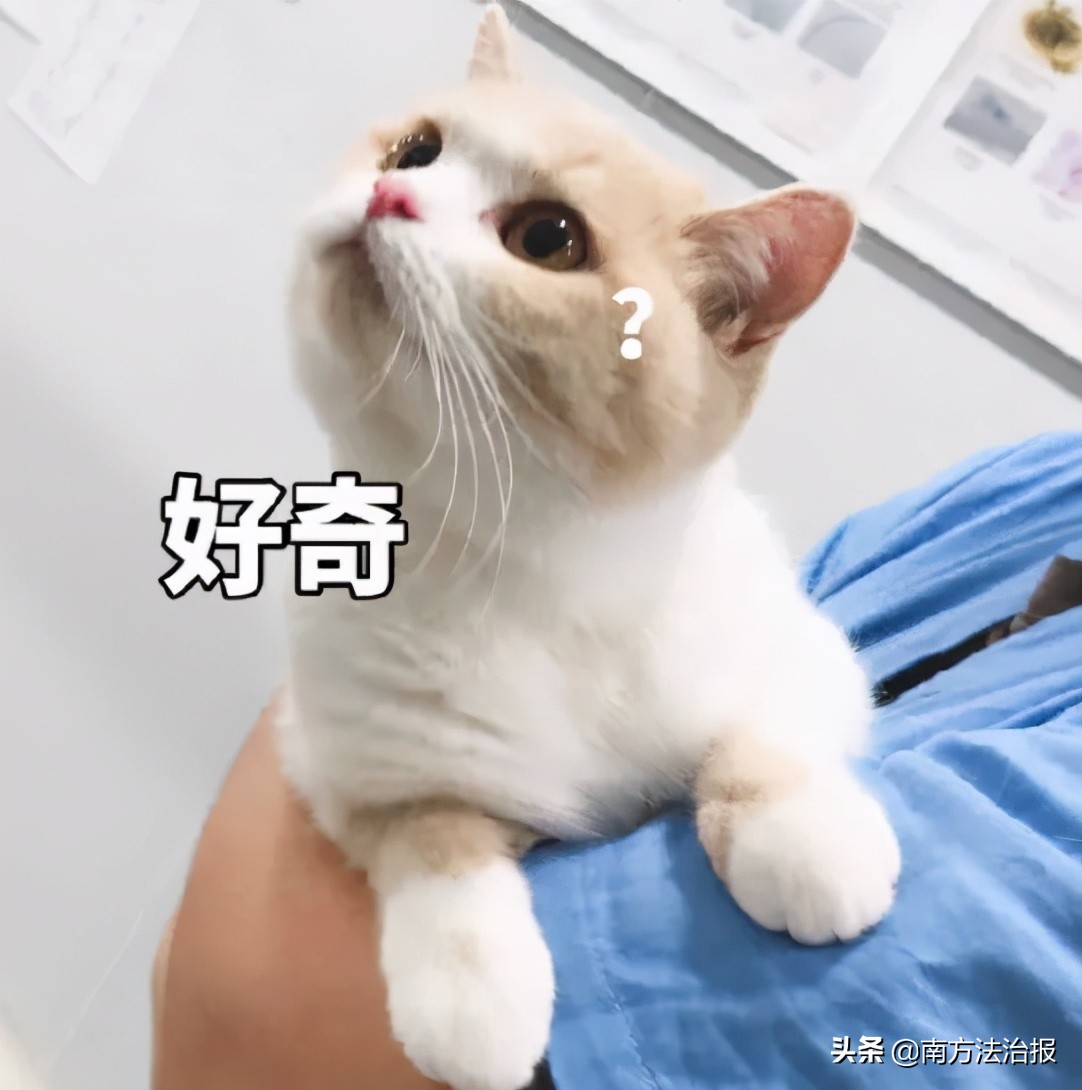 幼儿园里的神秘怪物,超吓人幼儿园