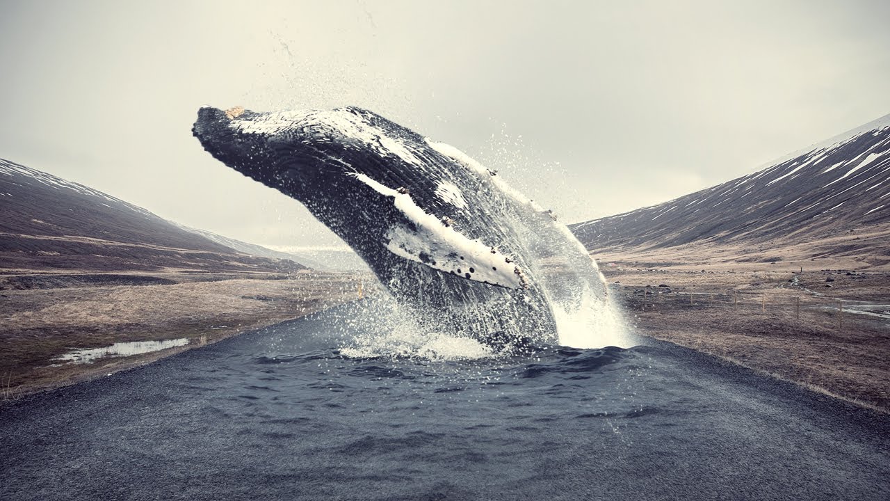 photoshop学起来难吗,ps总是学不会