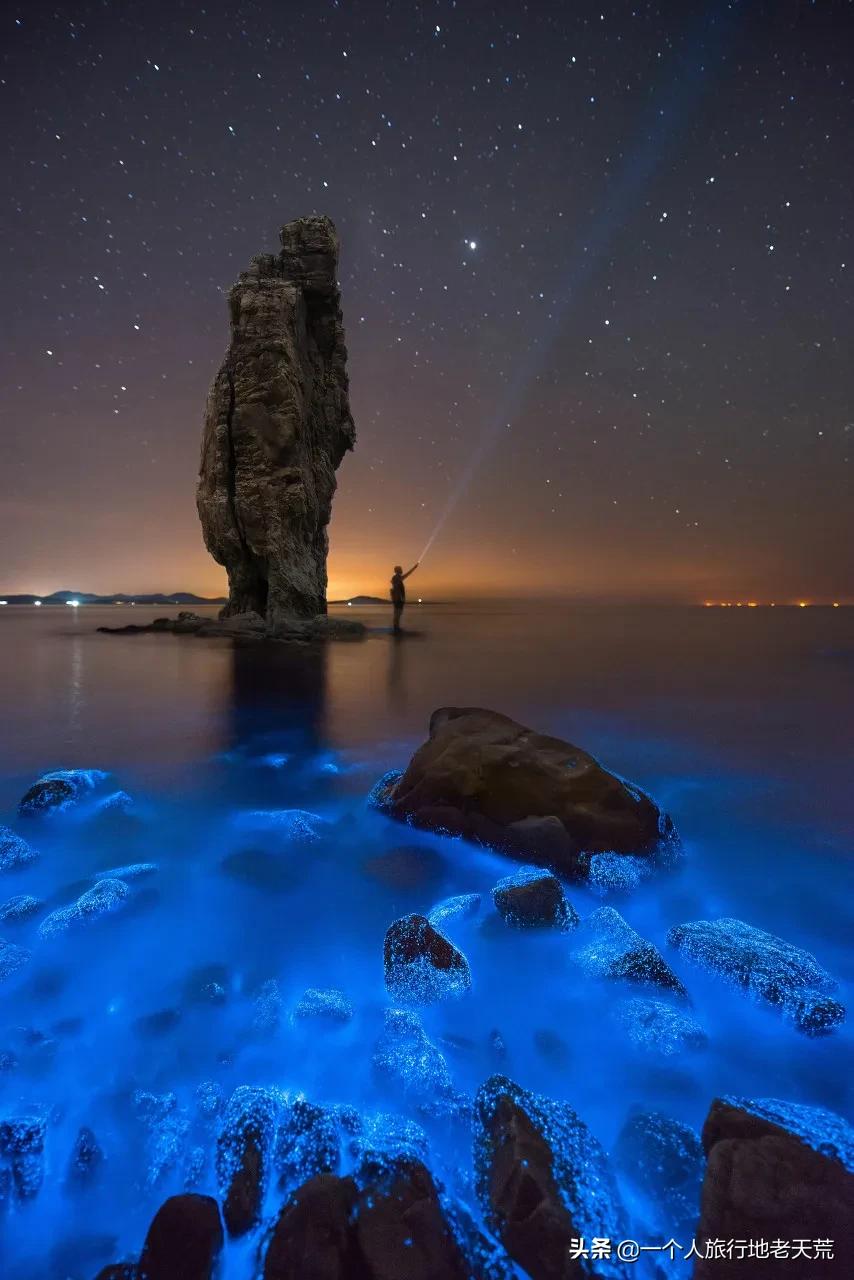 北方这座海滨老城，樱花不输日本，浪漫更胜巴黎