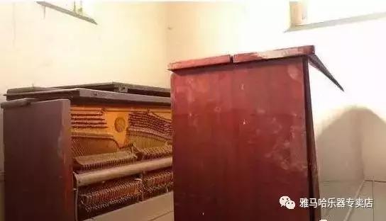 天音乐器靠谱吗,天音二手乐器河东区