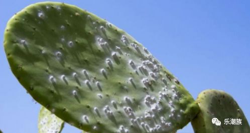 bbc科普类知识,bbc科普英文动画