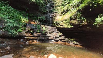 赤水大瀑布 侏罗纪公园 (世界唯一保留的侏罗纪原始公园)