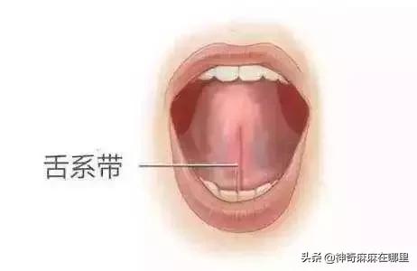 宝宝的舌头有点红怎么回事,宝宝的舌头有红点