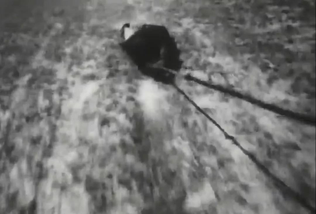 从不如牛马到翻身做主,*藏西**农奴是如何得到解放的?