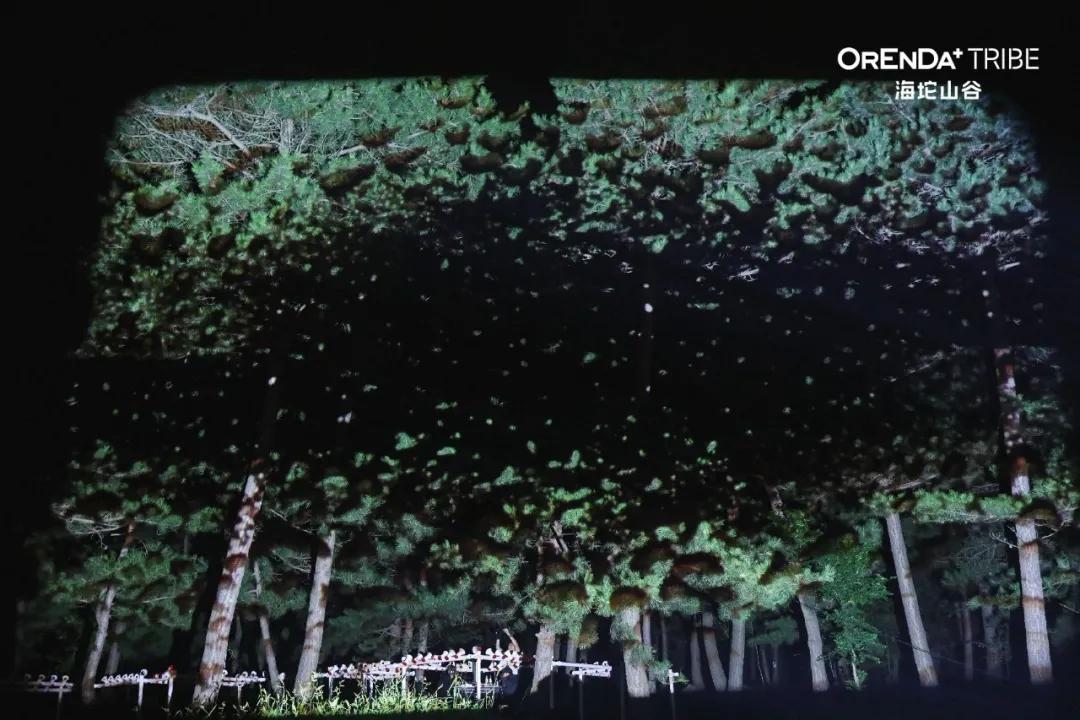 回望2020海坨耕耘路,以待2021山谷新美好