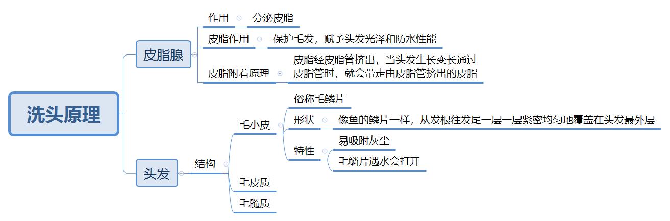 头发养护基础篇：史上最全洗头教程，告诉你如何正确的洗头