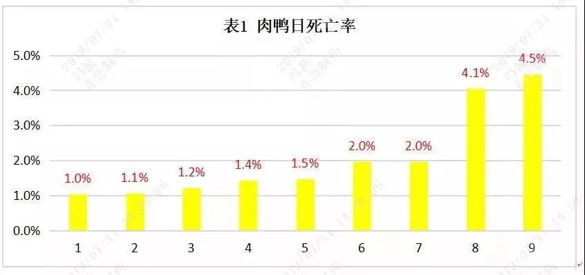 鸭子黄病毒病菌可活多久,鸭黄病毒病治疗