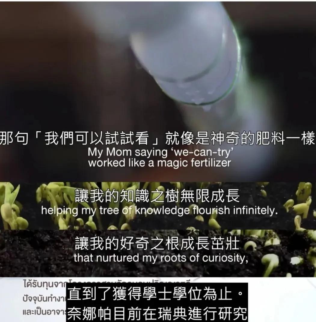 跌倒了要自己爬起来的解释,跌倒要学会爬起来