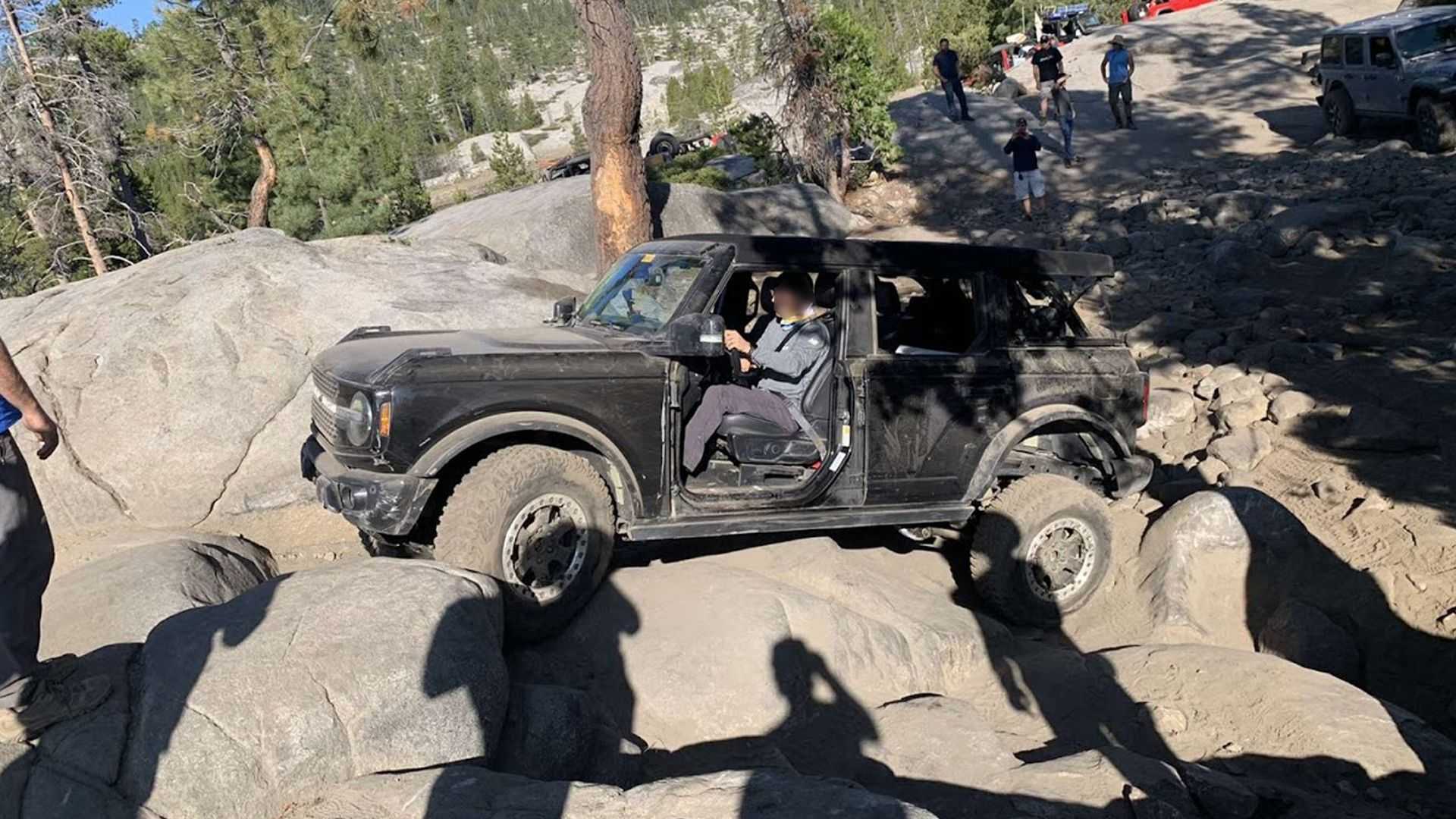 红旗e-hs9vs库里南,全新红旗E-HS9实车