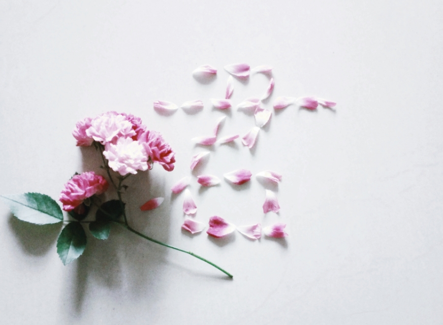 昭君最著名的十首诗,描写昭君美丽的诗句