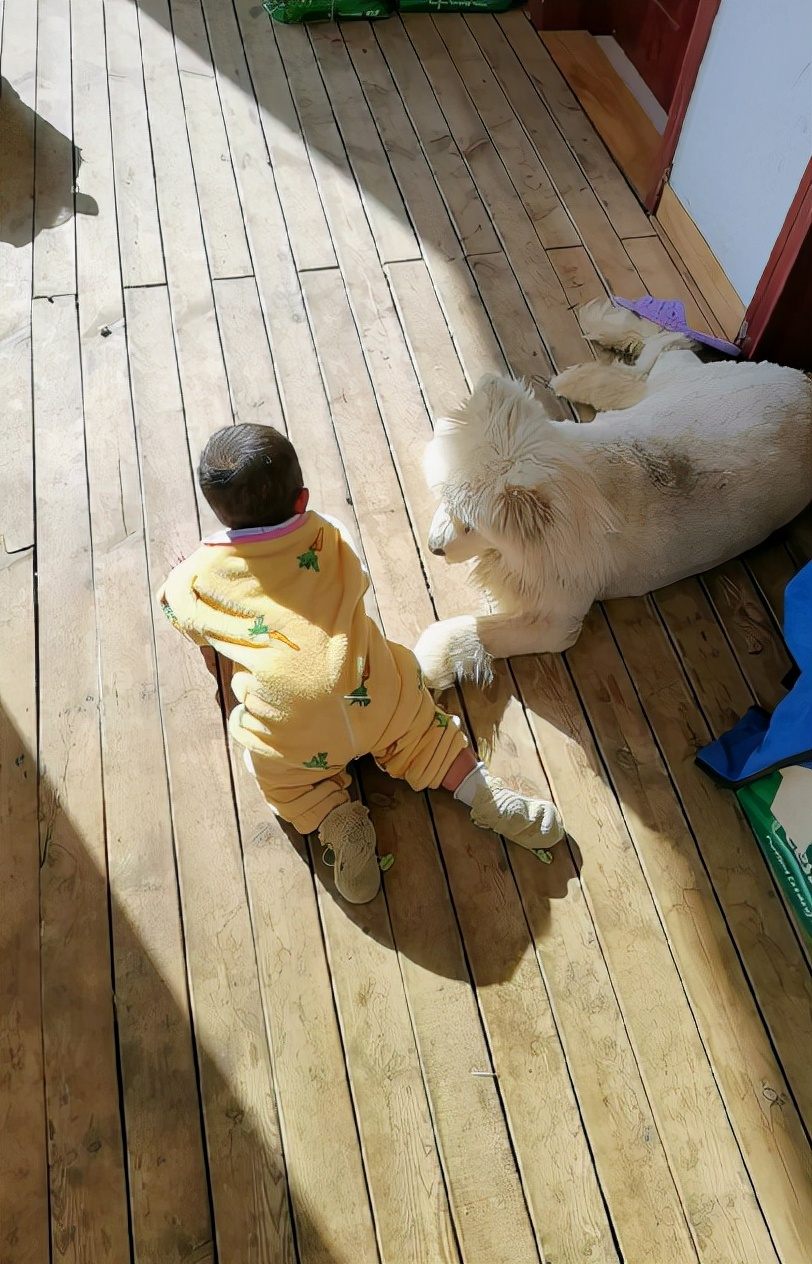 梦想自驾环游中国的轮椅夫妻,男生骑自行车带轮椅女环游中国