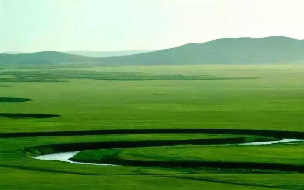 进博会中国企业走向世界,雀巢进博会抢先看