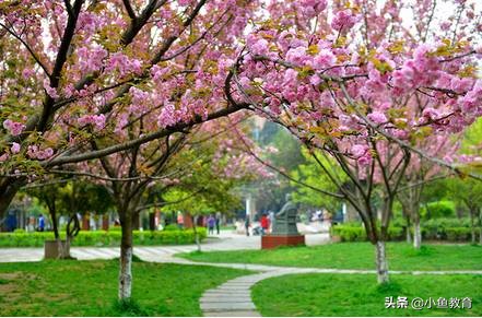 贵州排名前十的大学排名,2021年贵州省内大学排名