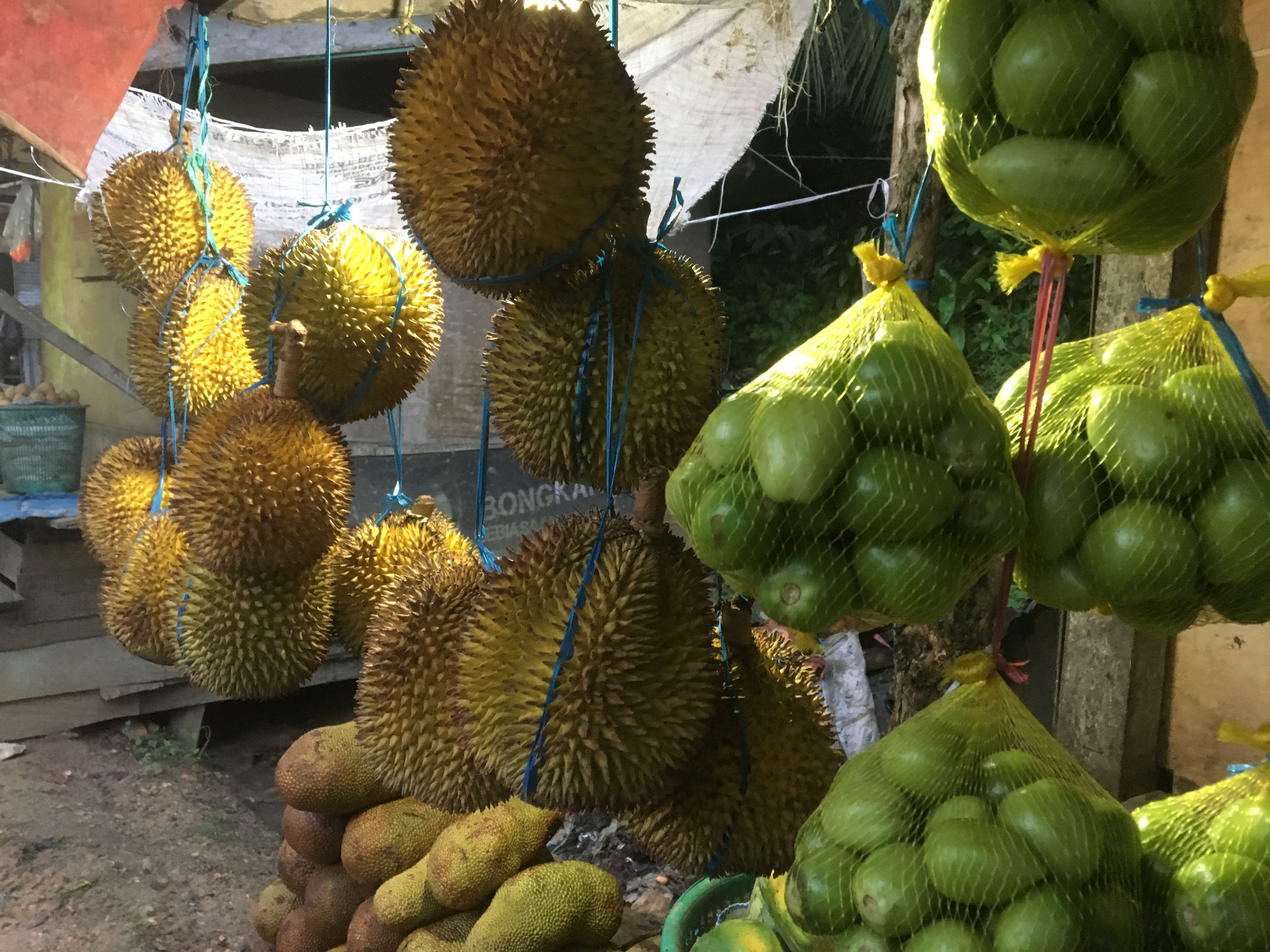 印度尼西亚吃喝玩乐,印度尼西亚旅游吃饭好不好吃