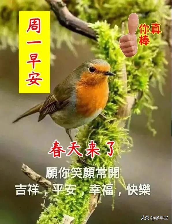 早上好周末愉快问候语动态表情包,周一早上好最新图片表情包