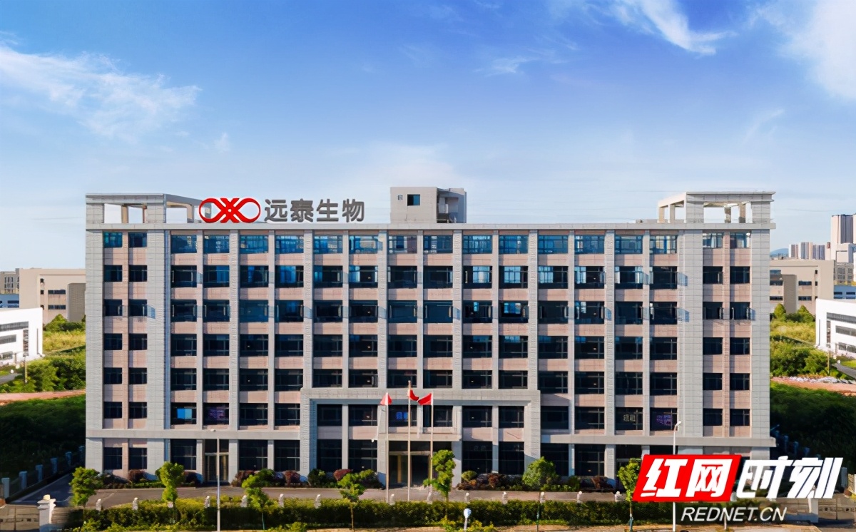 掘金四板⑬|远泰生物:单抗领域的佼佼者,如何高位布局谋发展?