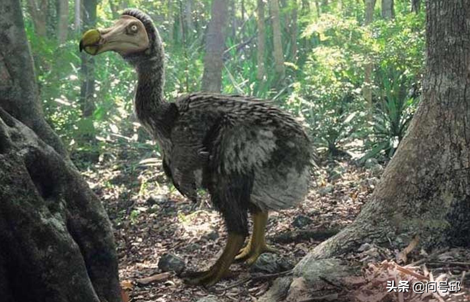 如果没有人类地球和动物会怎样,如果没有人类地球会失去平衡吗