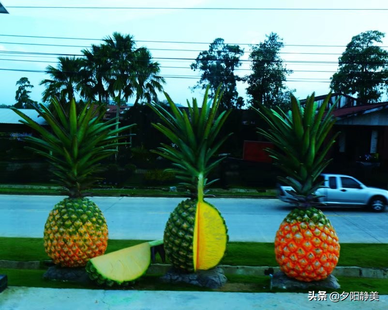泰国芭提雅东芭乐园视频,芭提雅东芭乐园游玩攻略