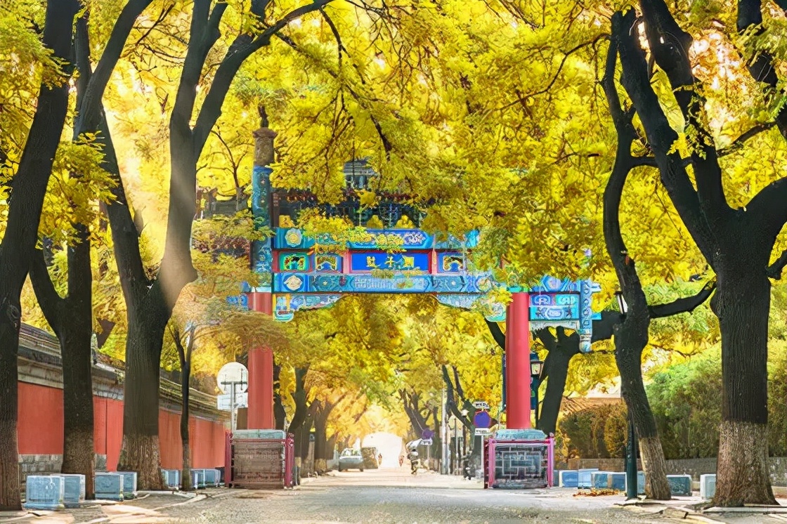 北京：京华清风吹送首善正气升腾