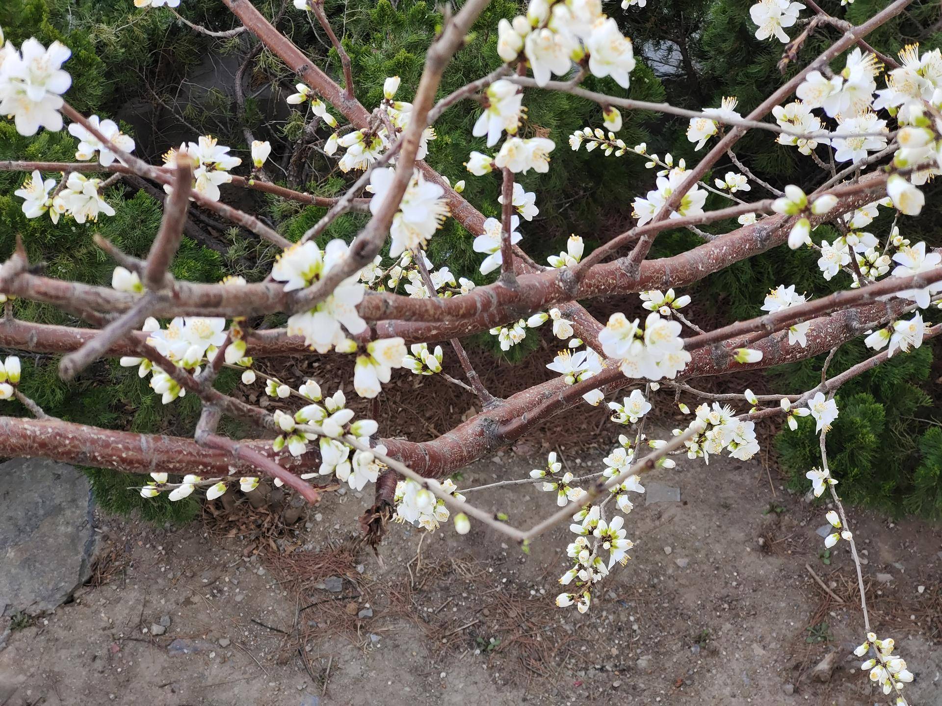 iqooz3定位有问题,iqoou3定位