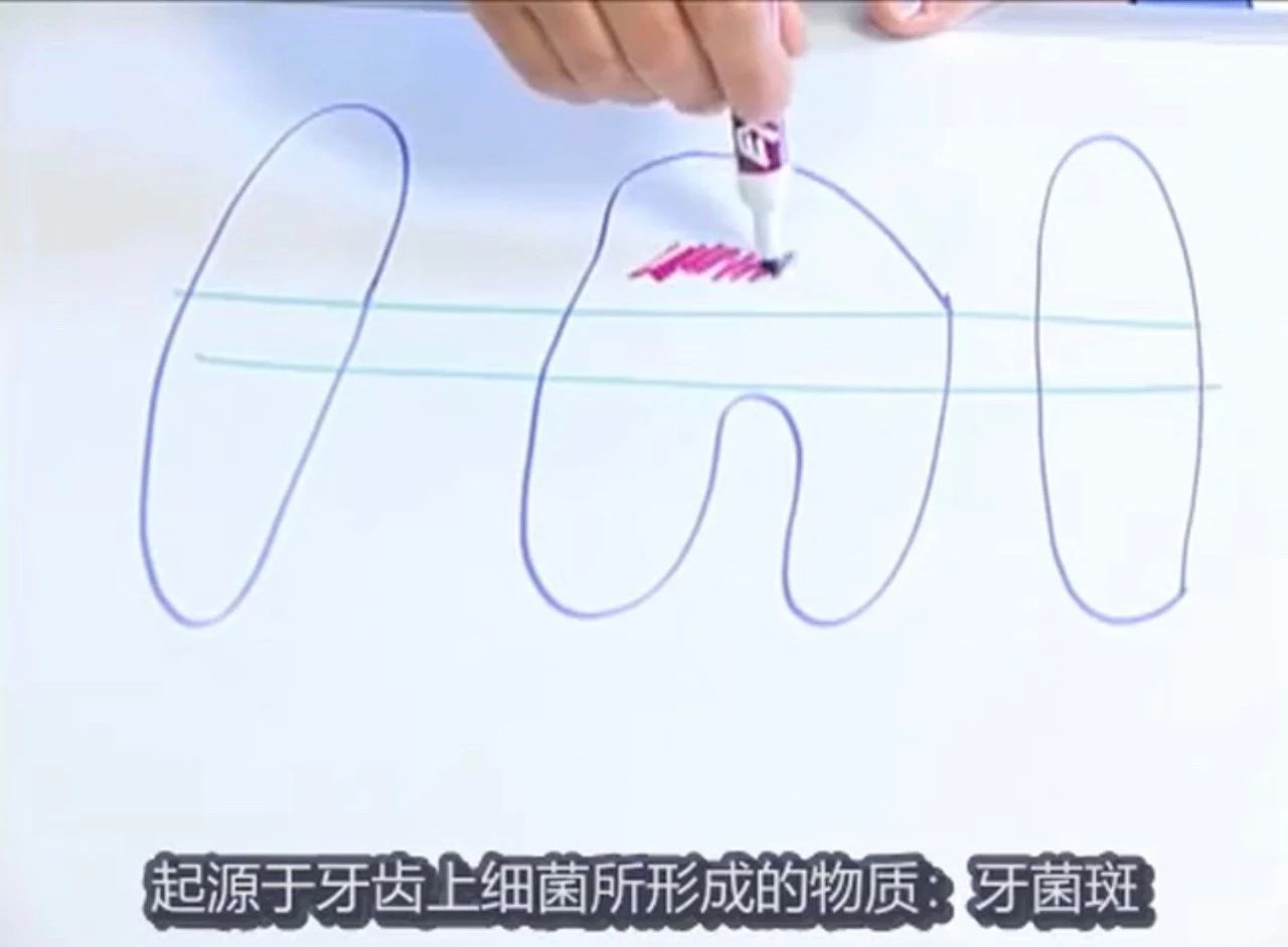 你的猫是否也有一个糟糕的口腔环境？谈谈猫口腔疾病那些事儿