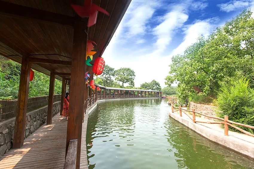 炎炎夏日躲树荫下才最凉快,远离城市喧哗清凉一夏