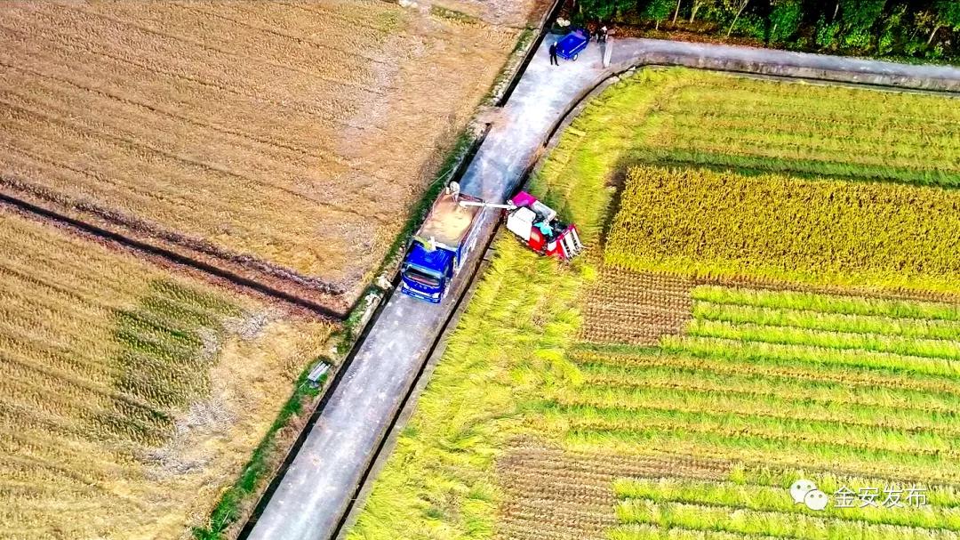 厉害了我的村视频,厉害了我的乡村