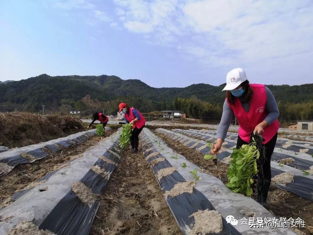 妇联助力奏响复工复产春之曲,江西省妇联家政服务