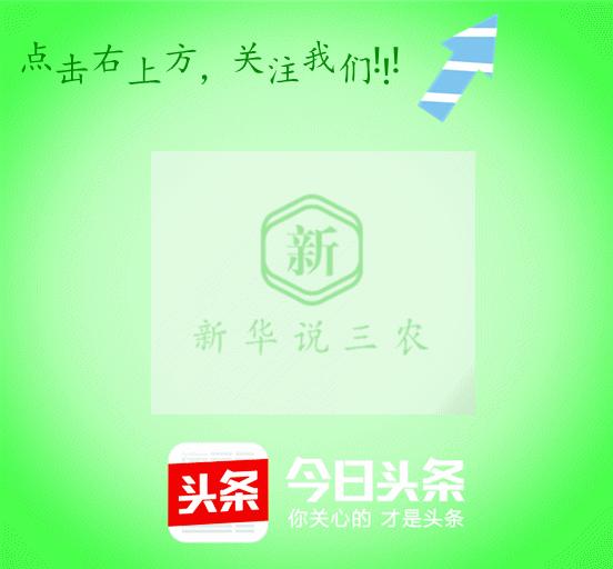 猪场皮肤病对照表,养猪皮肤病怎么办