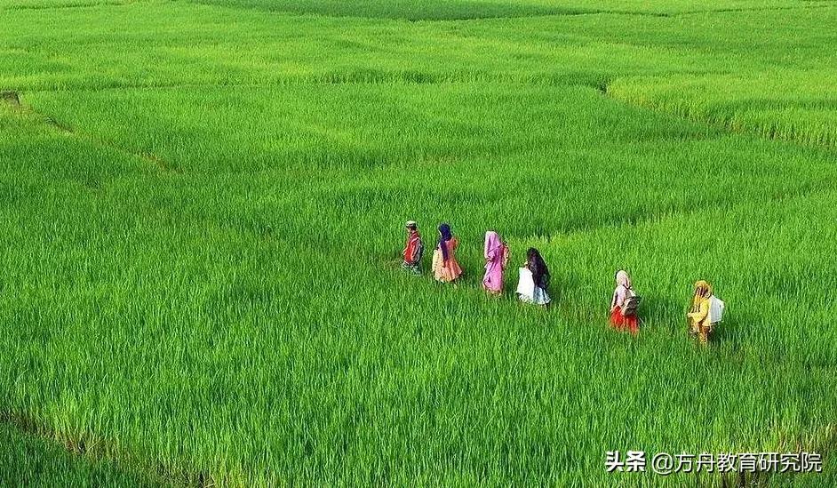 疫情下孩子学什么,疫情下孩子学习攻略