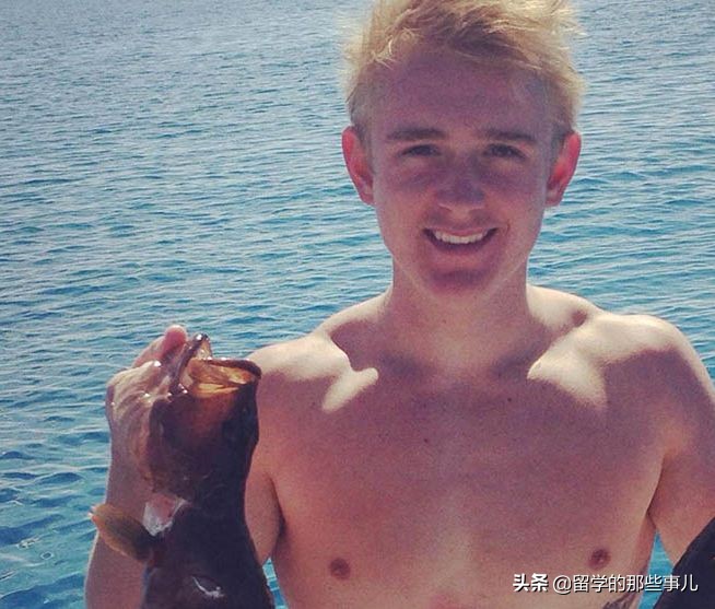 在海里遇到鲨鱼怎么才可以逃生,在海里碰到鲨鱼怎么办