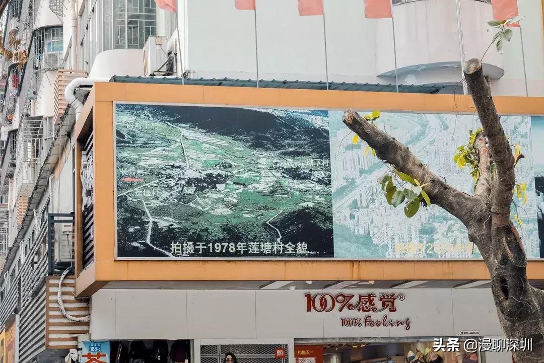 深圳空气中氡含量全国第一,深圳市负氧离子大概是多少