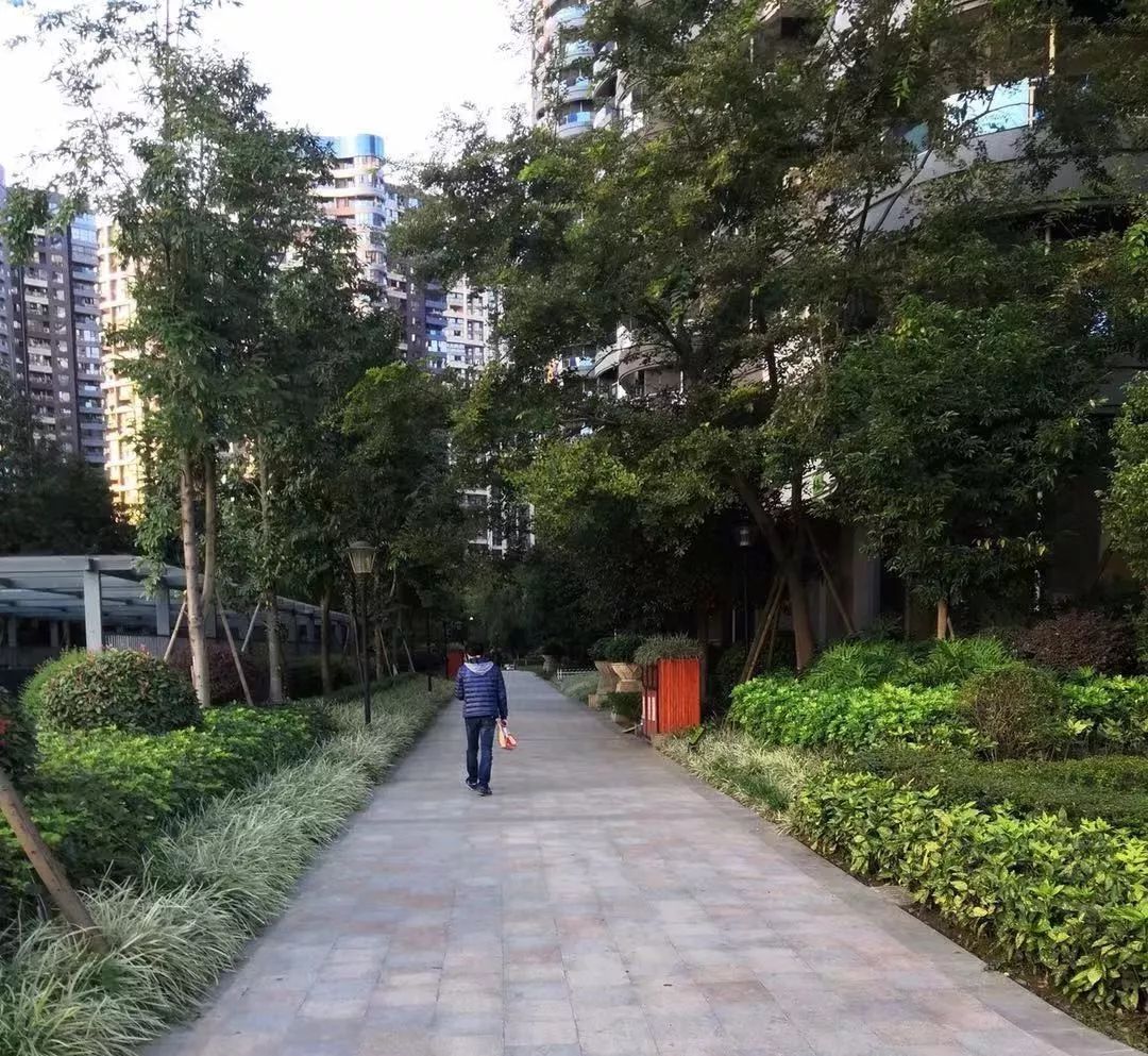 天府新区第五小学排名,天府新区a区学区房