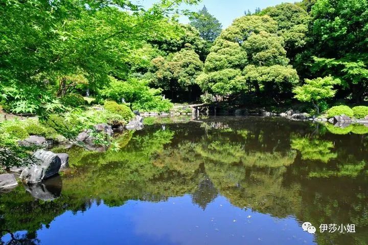 不看樱花能不能进武大,看樱花不一定要去日本的说说