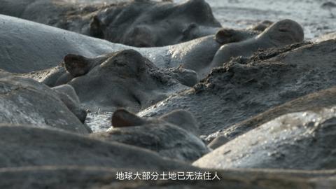 豆瓣2.5分神作,豆瓣9.5分的神作不该如此小众