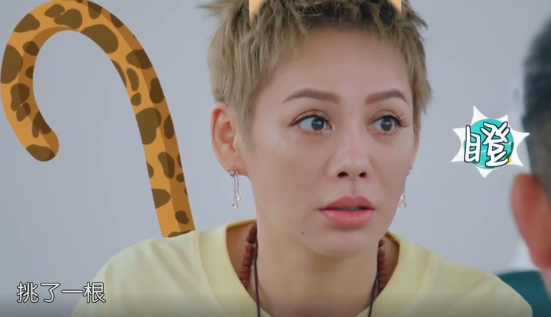 中餐厅5收官龚俊会来吗,中餐厅第五季龚俊会录几期