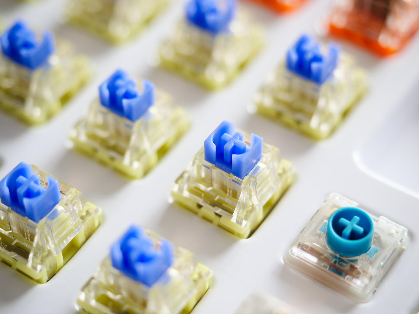 ttc金粉轴为什么比金红轴更受欢迎,ttc金粉轴为啥那么贵