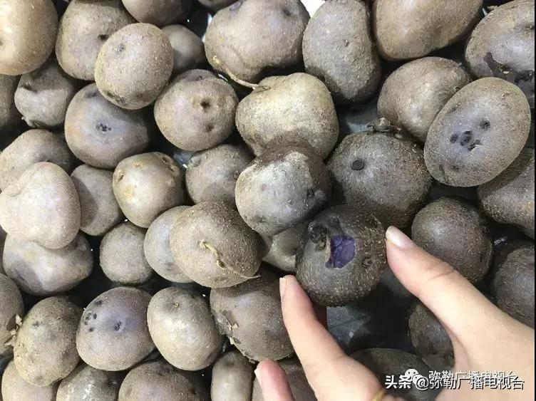 卖火了！弥勒紫色“将军芋”！政府包了