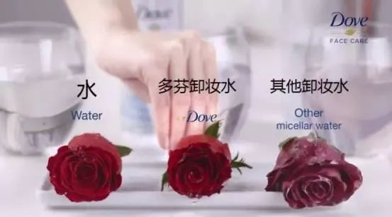 李佳琦跟张柏芝,李佳琦和张柏芝