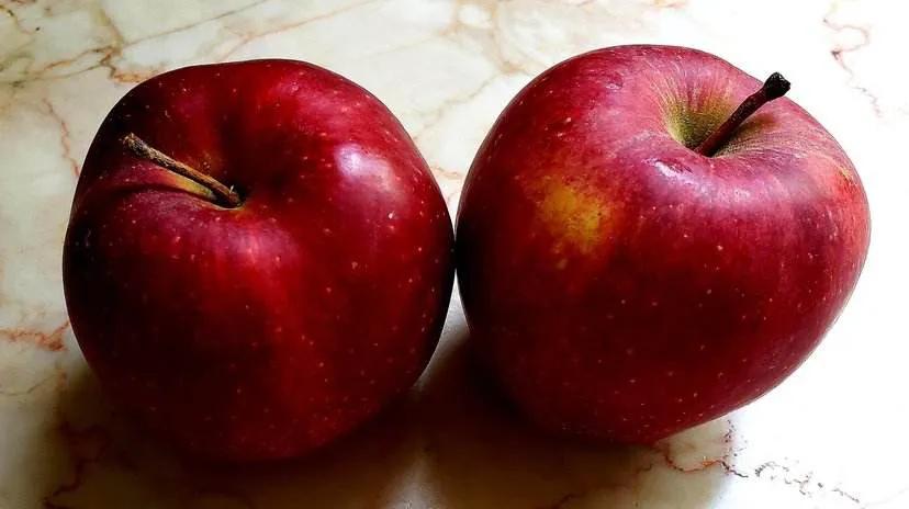 儿童脾胃虚弱每天食谱,孩子脾胃虚早餐没食欲怎么做