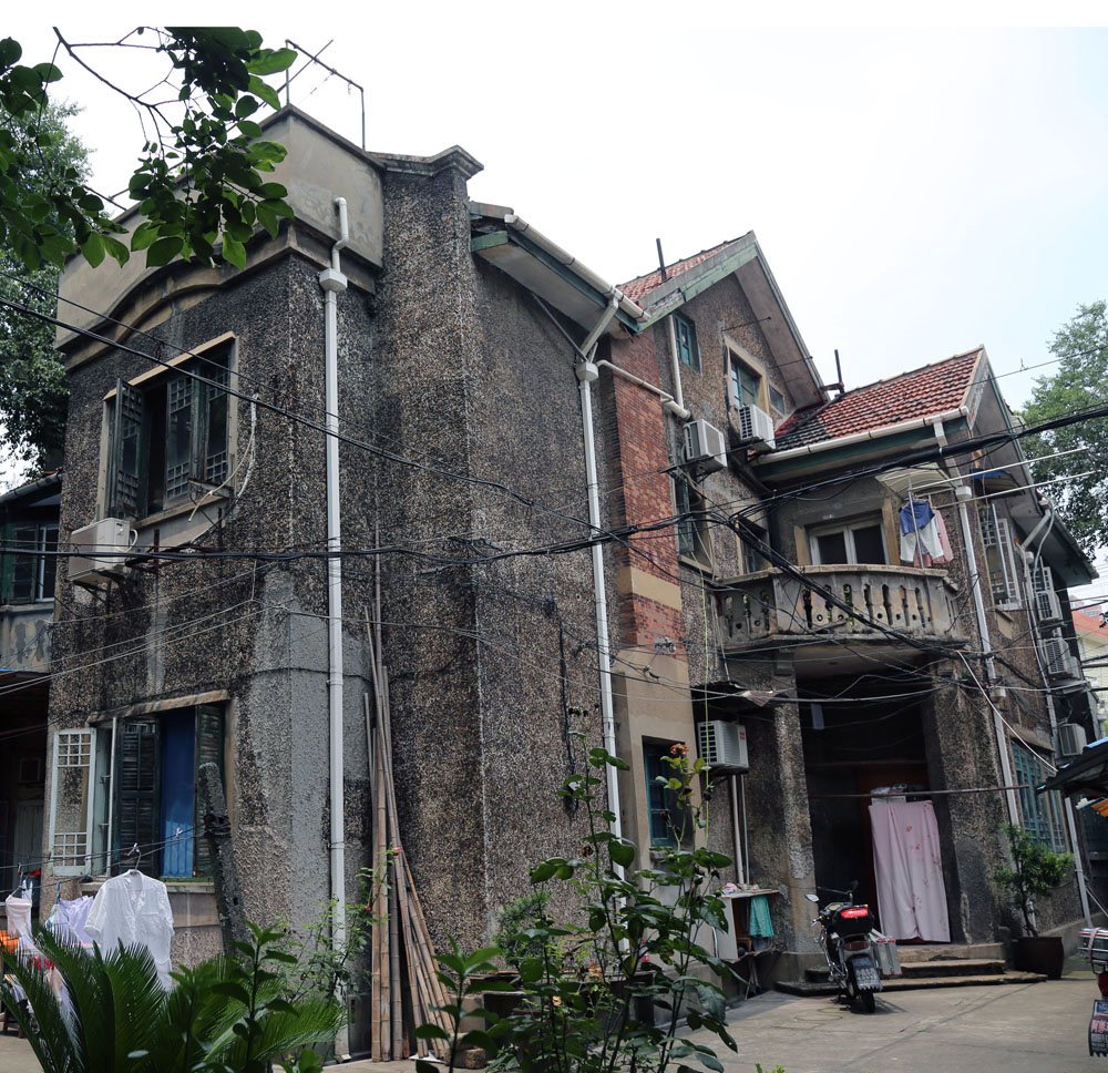 静雅碧螺红茶,静雅武夷