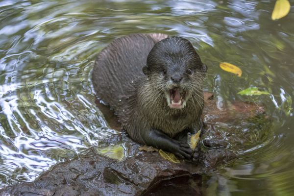 4个月宝宝逛北京动物园,武汉最好逛的动物园