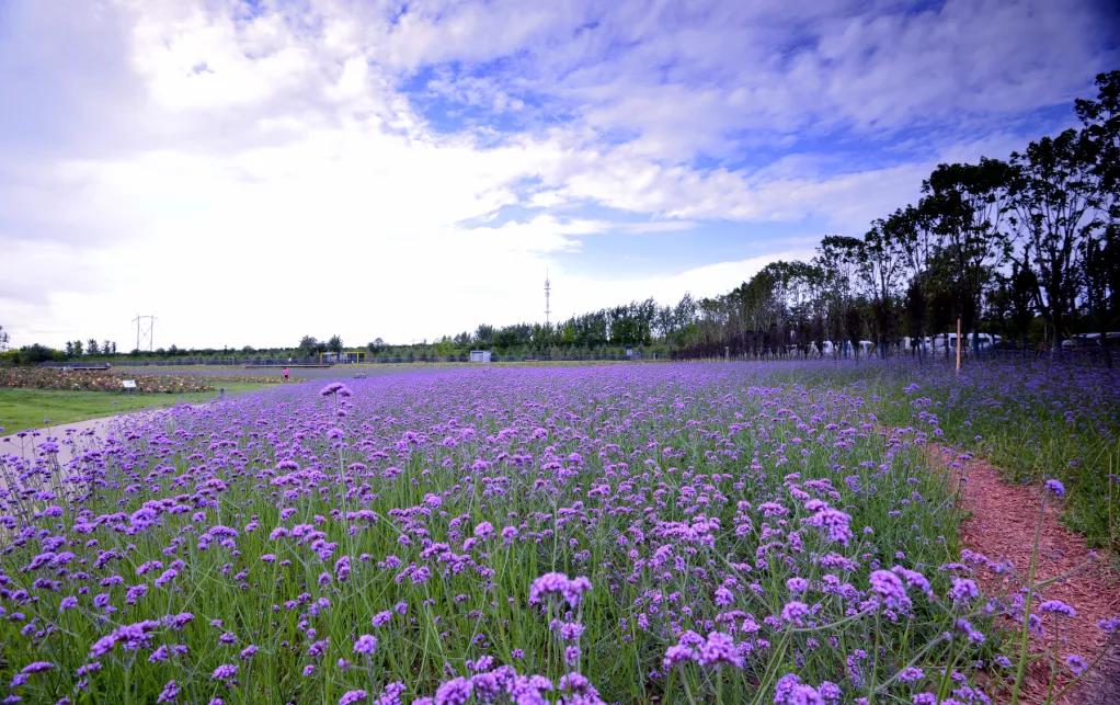 西安公园24小时开放,西安免费儿童玩的公园