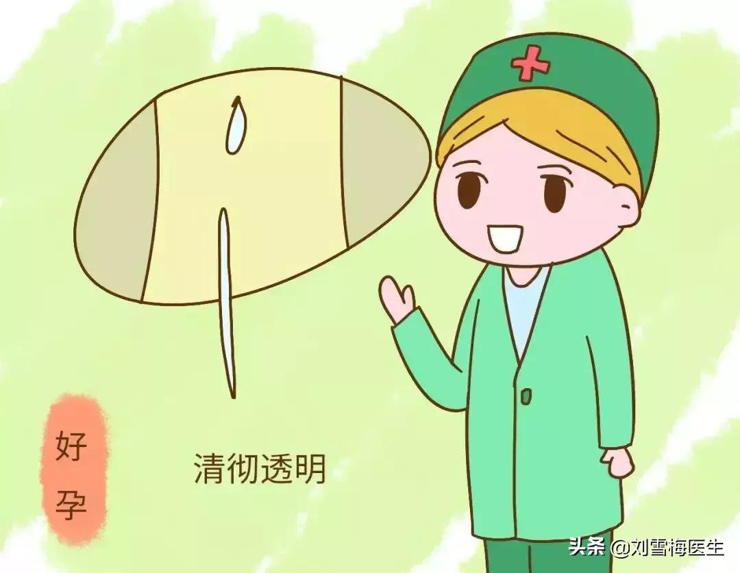 备孕知道排卵期的准确时间,备孕期间怎么记录排卵期