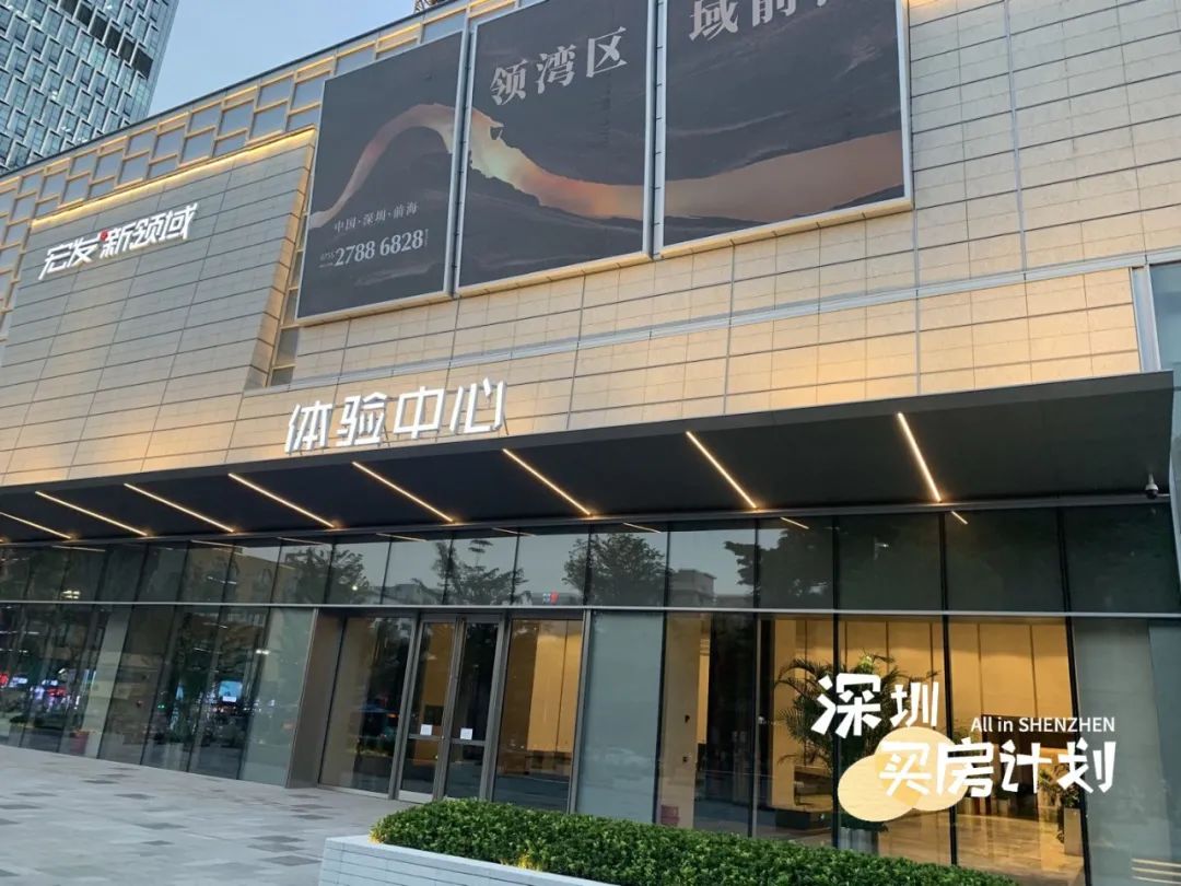 深圳目前值得打新的楼盘,深圳12月打新火爆新盘