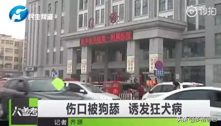 被狂犬病的狗舔一下会得病吗,狗舔过的东西狂犬病毒能存活多久